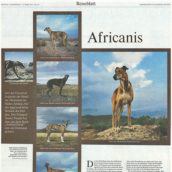 Africanis - Frankfurter Allgemeine Zeitung