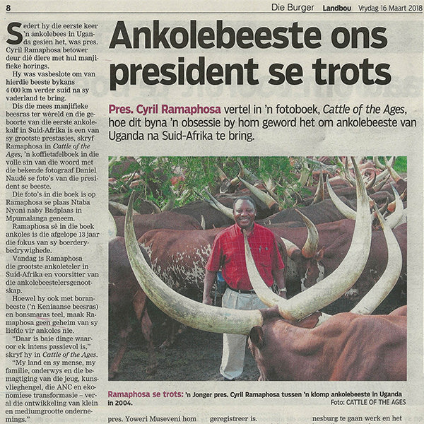 Ankolebeeste ons president se trots - Die Burger