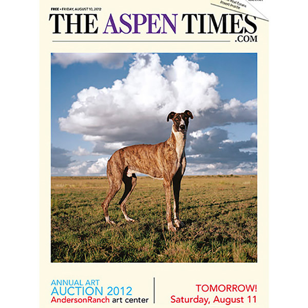Annual Art Auction 2012 - The Aspen Times