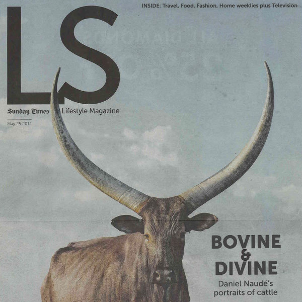 Bovine & Divine - Sunday Times