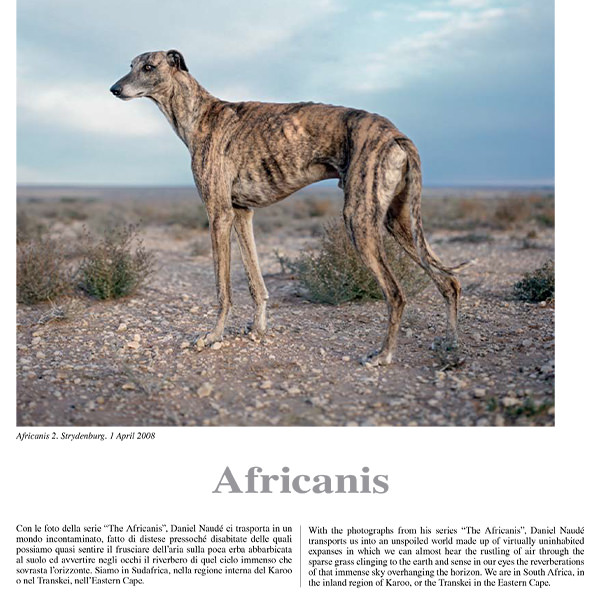 Daniel Naudé Feature: Africanis - Zoom Magazine