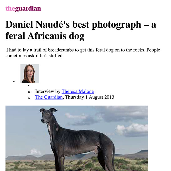 Daniel Naudé's Best Photograph – a Feral Africanis Dog - The Guardian