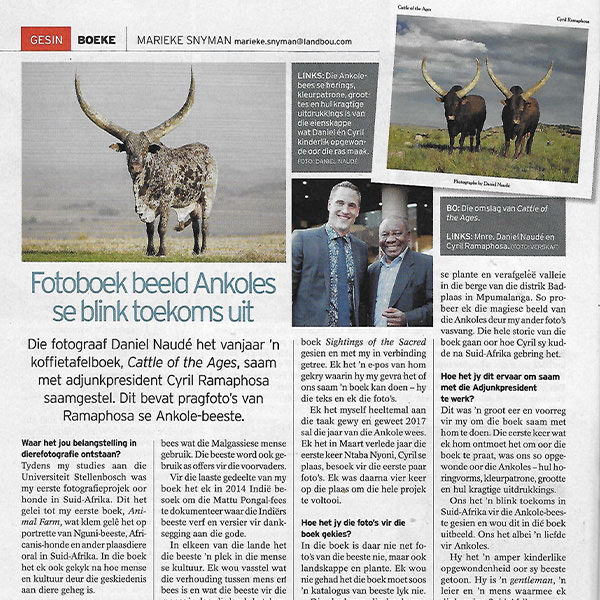 Fotoboek beeld Ankoles se blink toekoms uit - Landbou Weekblad