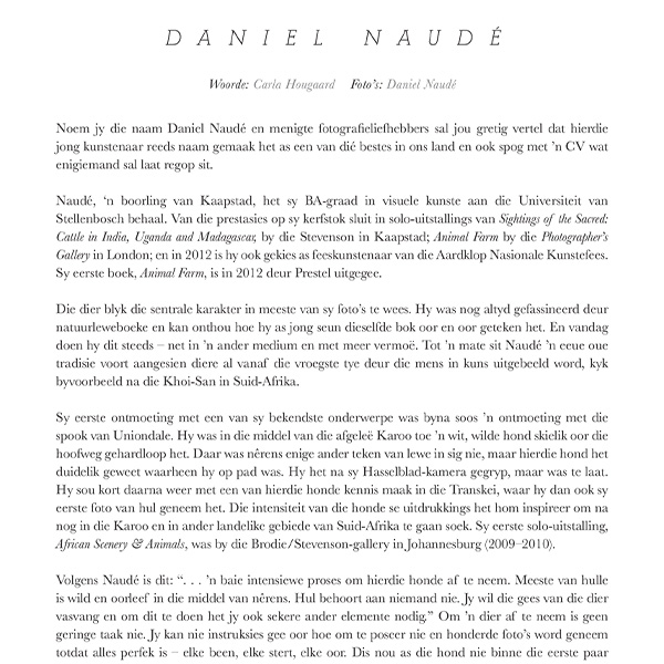 Kuns Daniel Naudé - Ambassadeur