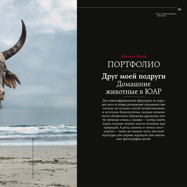 My Friend's Friend: Domestic Animals in South Africa (Russian edition) - Afisha Mir 103