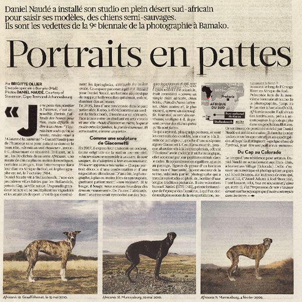 Portraits en pattes - Libération