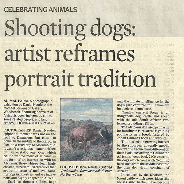 Shooting Dogs: Artist Reframes Portrait Tradition - Cape Times